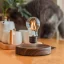 خرید و قیمت لامپ معلق پایه چوبی Magnetic Lamp | آیبینو